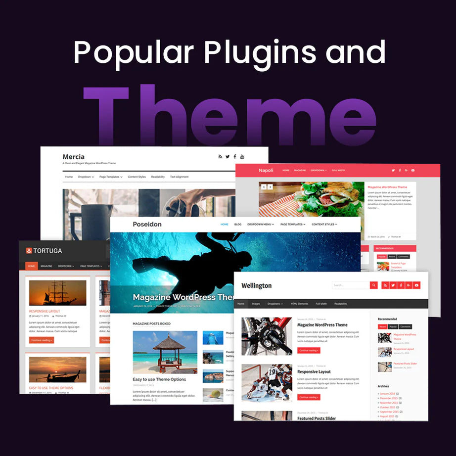 Popular Plugins And Theme